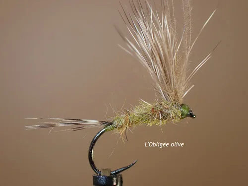 Mouche sèche "Obligée"