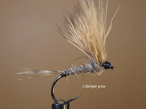 Mouche sèche "Obligée"