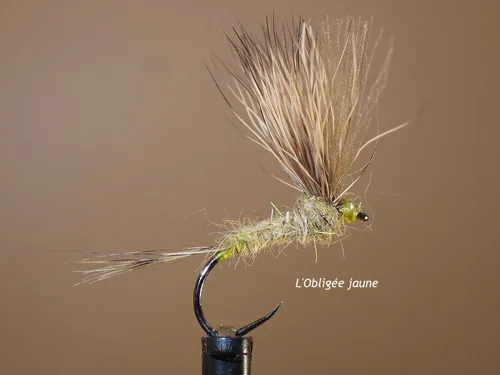Mouche sèche "Obligée"