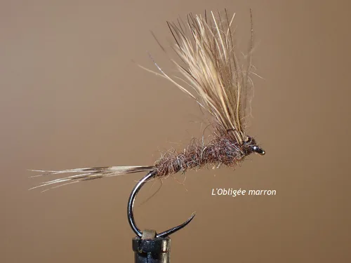 Mouche sèche "Obligée"