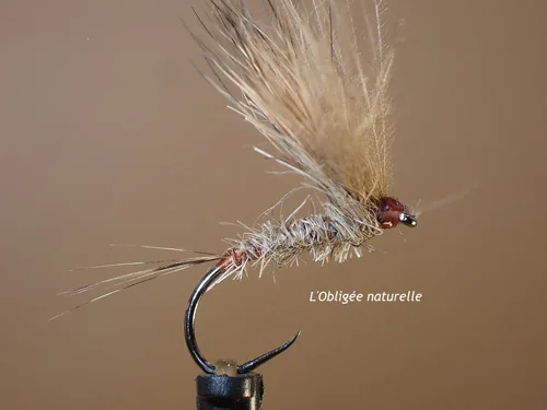 Mouche sèche "Obligée"
