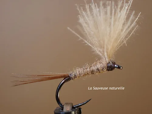 Mouche sèche "Sauveuse"