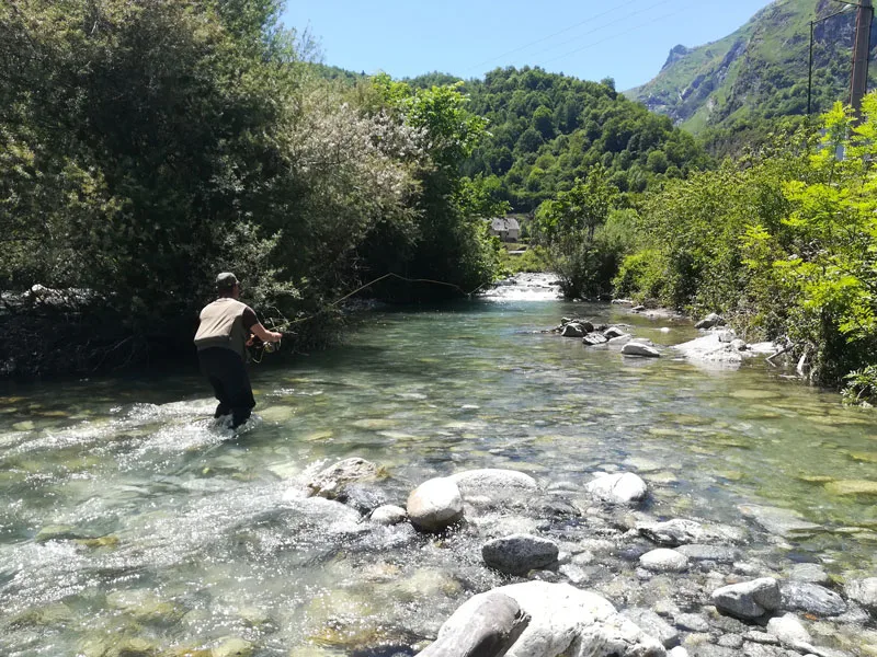 La pêche en sèche La pêche en sèche
