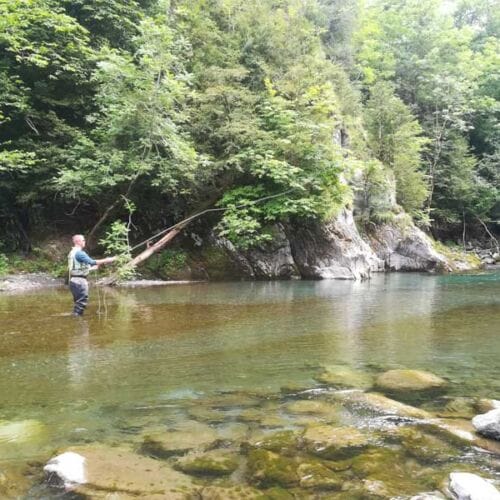 La pêche en sèche