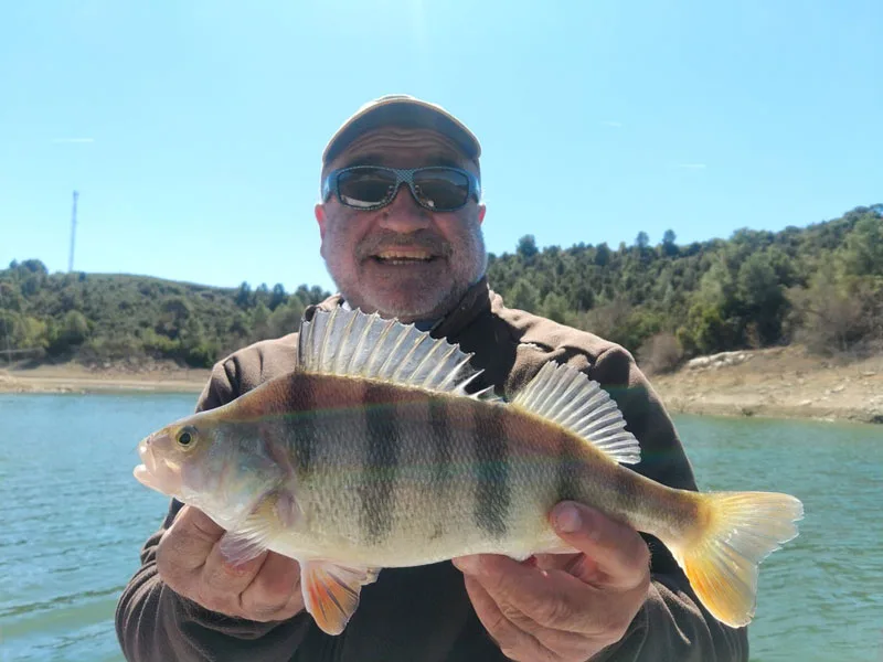 Pêche au sandre en Espagne Pêche au sandre en Espagne