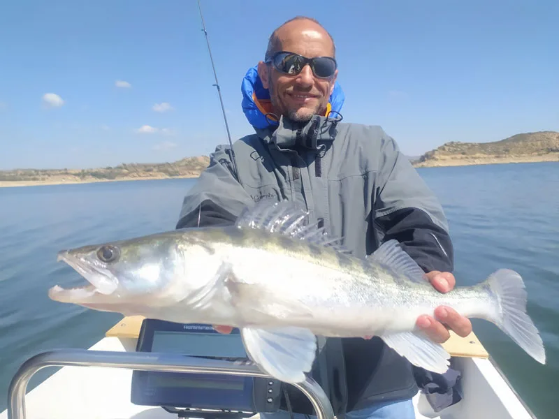 Pêche au sandre en Espagne Pêche au sandre en Espagne