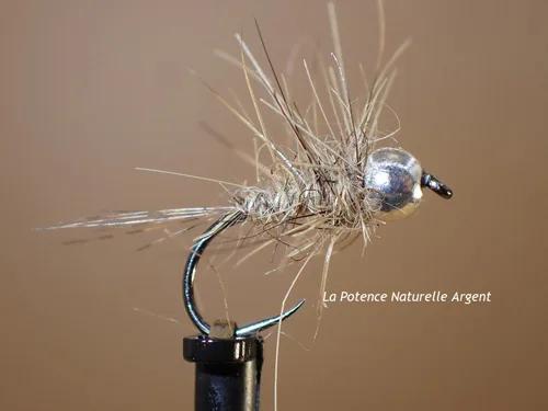 Mouche Nymphes Potence