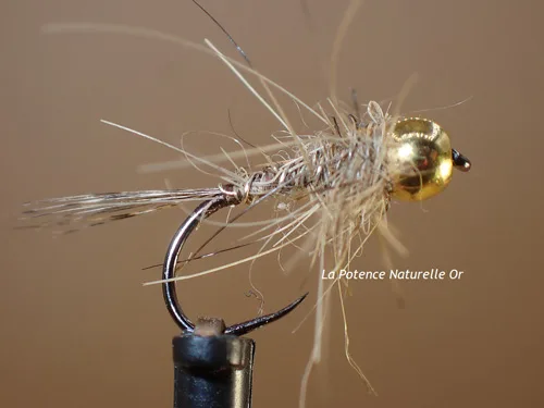Mouche Nymphes Potence