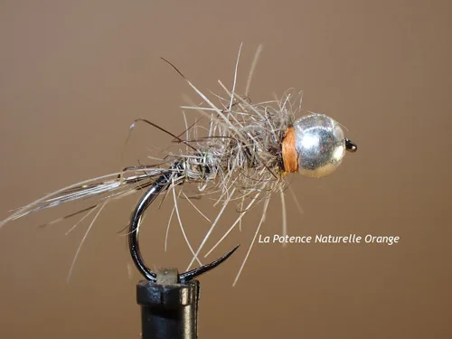 Mouche Nymphes Potence