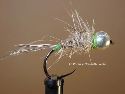 Mouche Nymphes Potence
