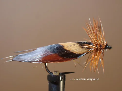 Mouche sedge Coureuse
