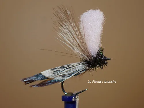 Mouche sedge Fileuse
