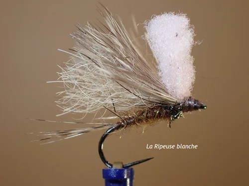 Mouche sedge Ripeuse
