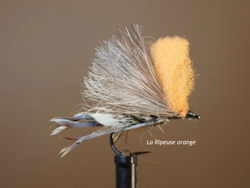 Mouche sedge Ripeuse