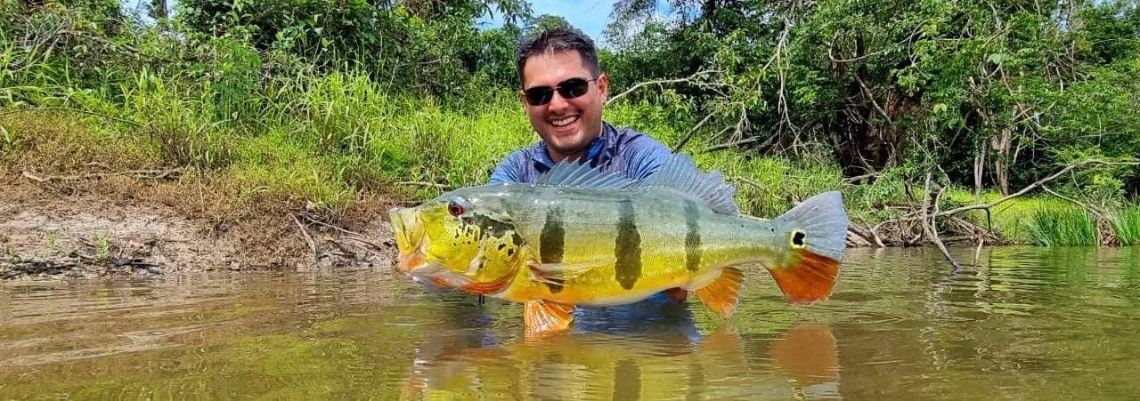 Bassins du rio Negro, du rio Branco et de la rivière Anaua Bassins du rio Negro, du rio Branco et de la rivière Anaua