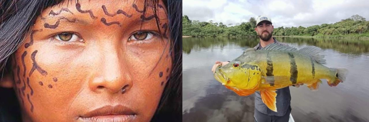 Bassins du rio Negro, du rio Branco et de la rivière Anaua Bassins du rio Negro, du rio Branco et de la rivière Anaua