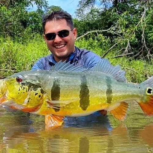 Pêche du Peacock Bass géants au Brésil